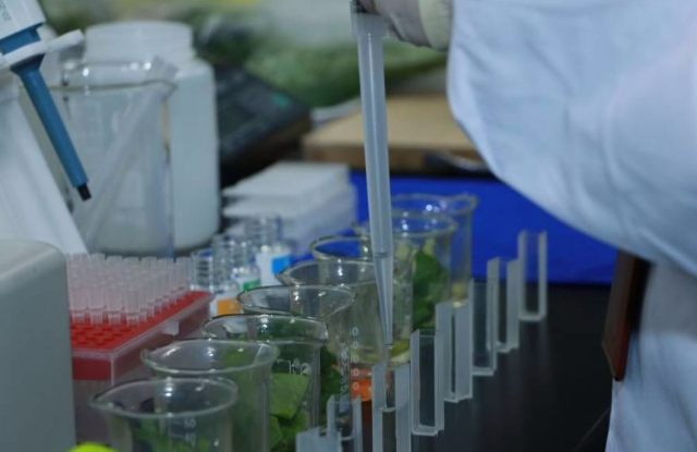 農(nóng)殘檢測(cè)